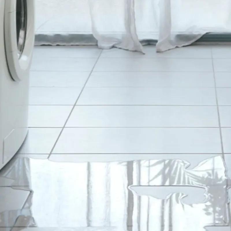 Appliance Leak Cleanup in Cambridge, MN