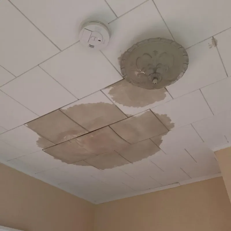 Ceiling Water Damage Repair in Cambridge, MN