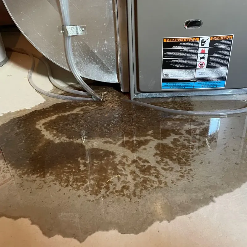 Pipe Burst and Leak Restoration in Cambridge, MN